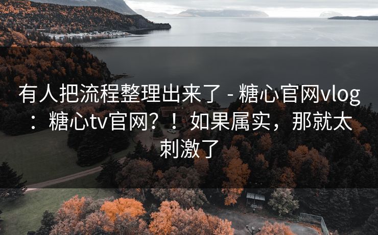 有人把流程整理出来了 - 糖心官网vlog：糖心tv官网？！如果属实，那就太刺激了